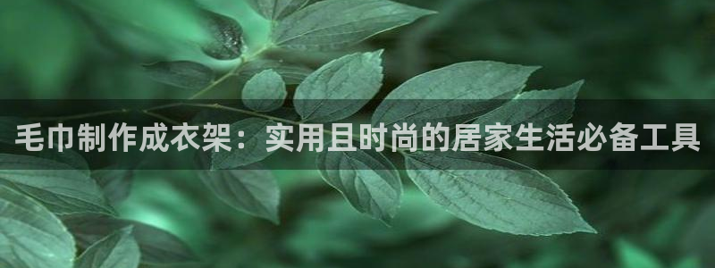 摩登7平台信誉