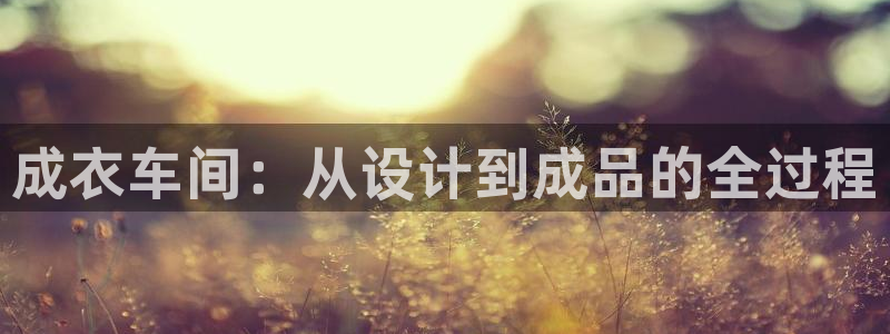 摩登4天7O667