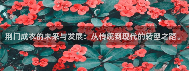 摩登系列摩登7