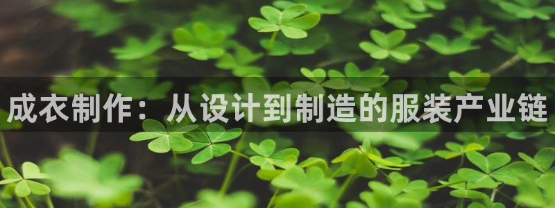 摩登7点