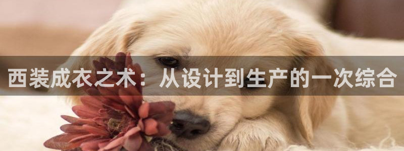 摩登7娱乐平台怎么样