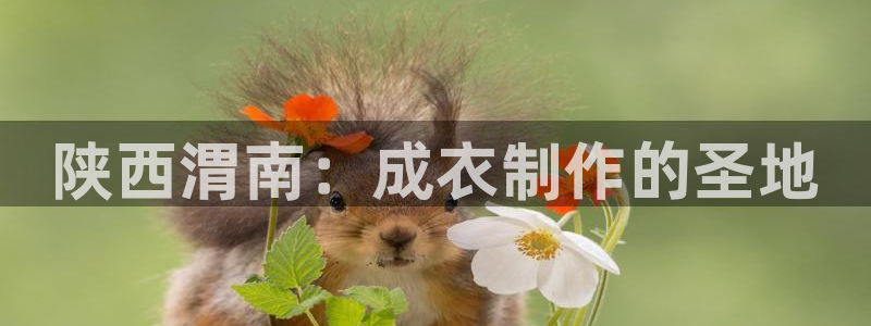 摩登7上
