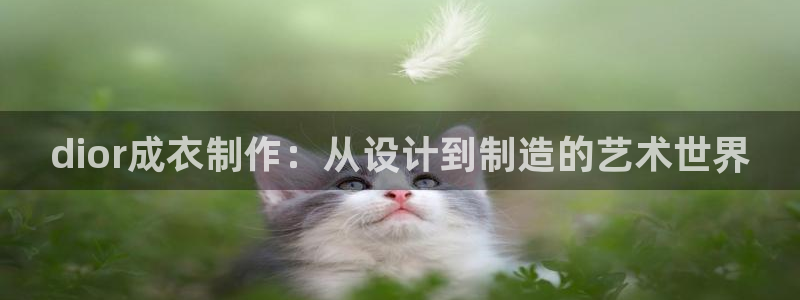 摩登3前7O667