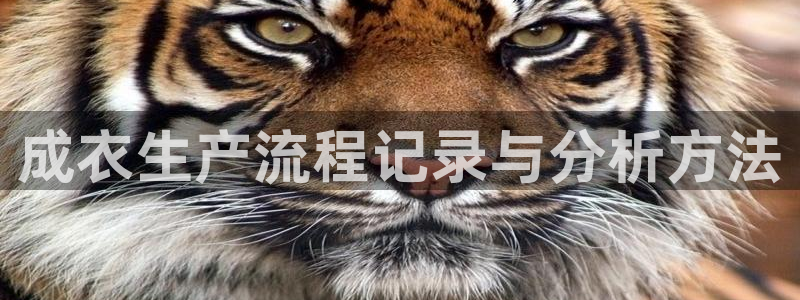 摩登7 1 1