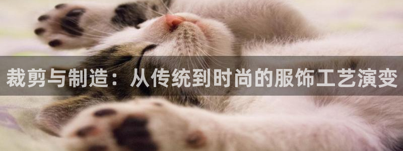 摩登7公司排名