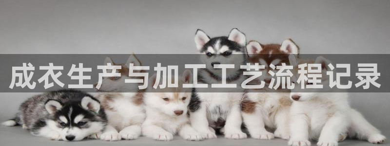 摩登7右