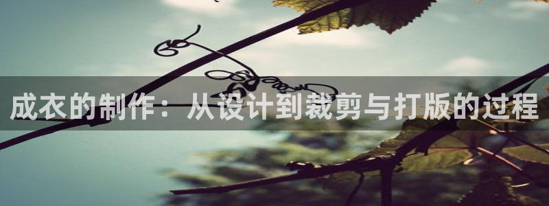 摩登7主管亲333OO