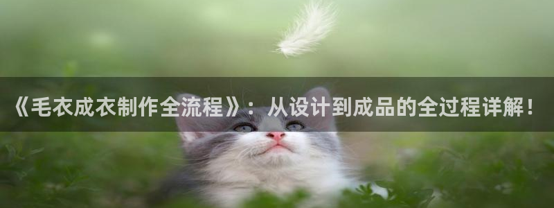 摩登7平台