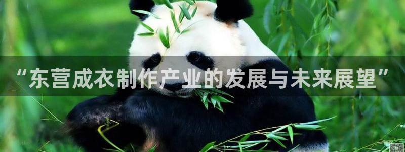 摩登7软件是什么原因
