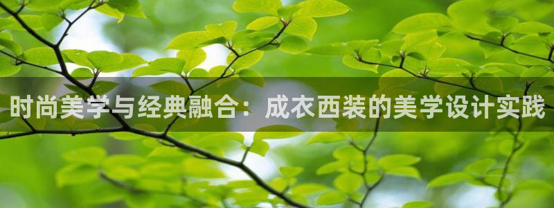 摩登7 平台