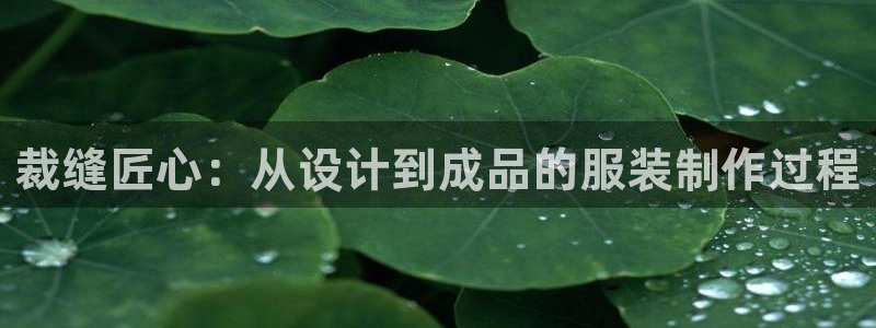 摩登6地7O667