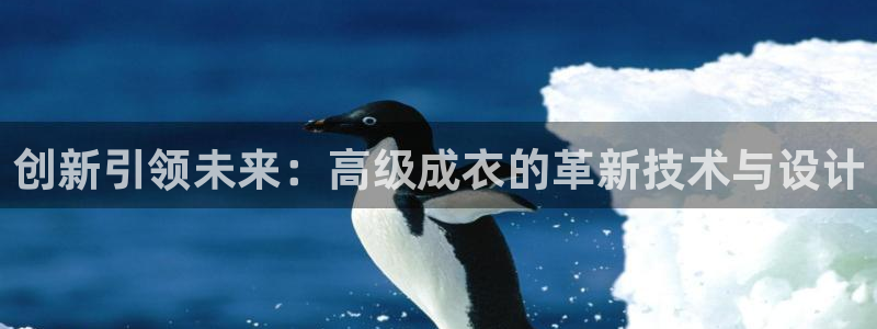 摩登5张7O667
