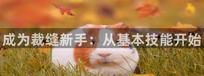 摩登7来宾