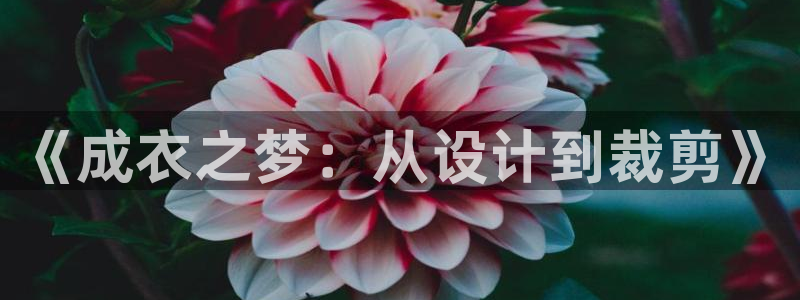 摩登3来找7O667