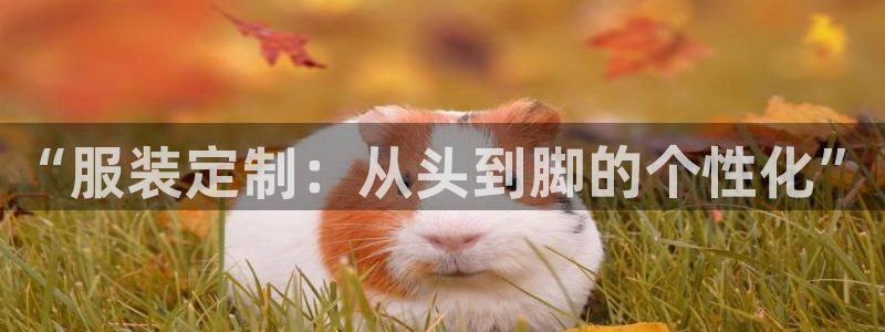 摩登7左3299O7