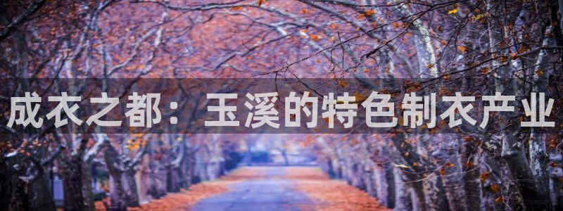 摩登7代理382223