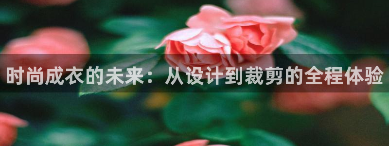 摩登7代理382223