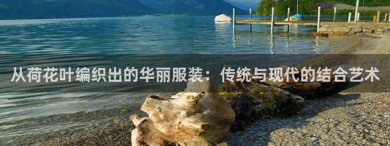 摩登7属于什么平台