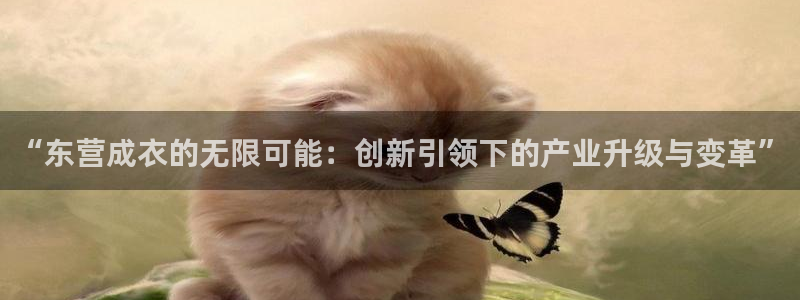 摩登7 lite