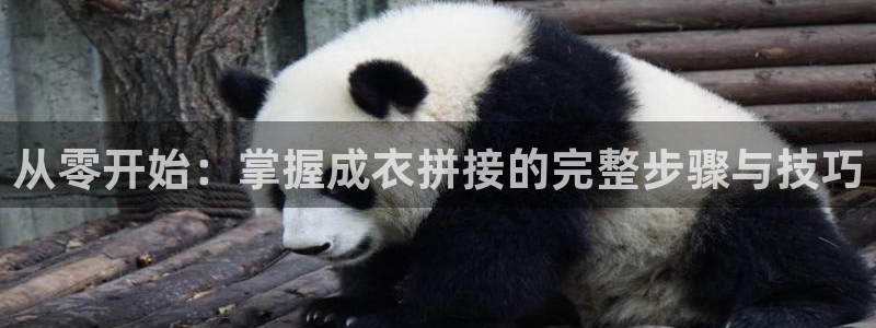 摩登7上级