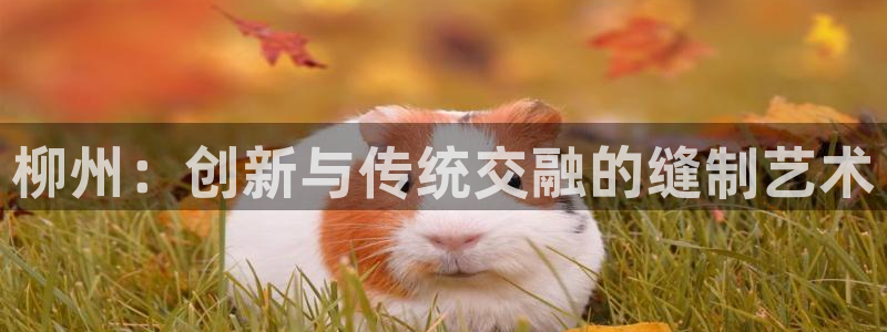 摩登7月7O667