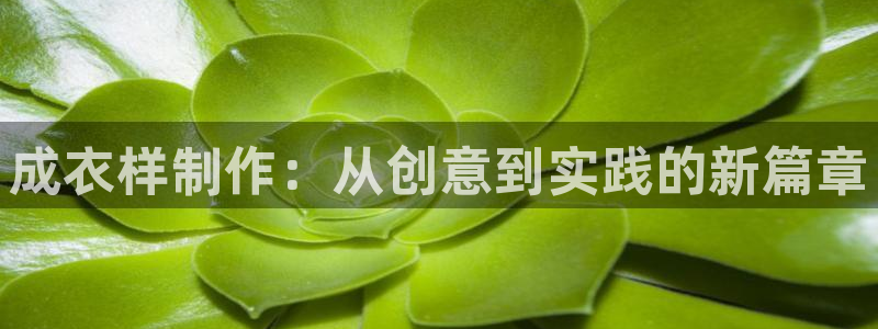 摩登7高管