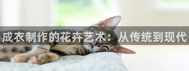 摩登7彩票平台是啥